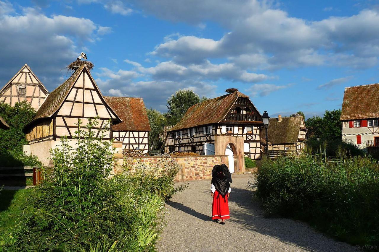 Chez Christian Leilighet Breitenbach-Haut-Rhin Eksteriør bilde
