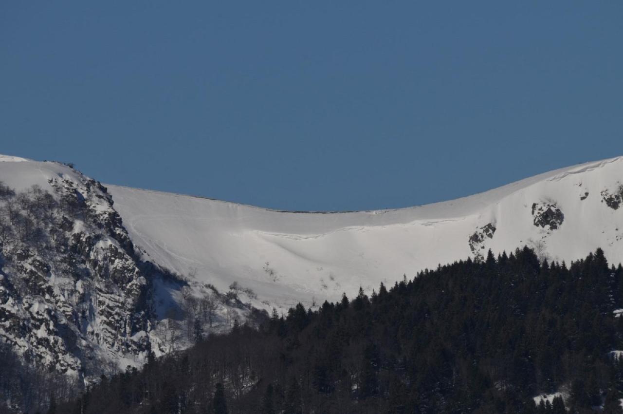 Chez Christian Leilighet Breitenbach-Haut-Rhin Eksteriør bilde