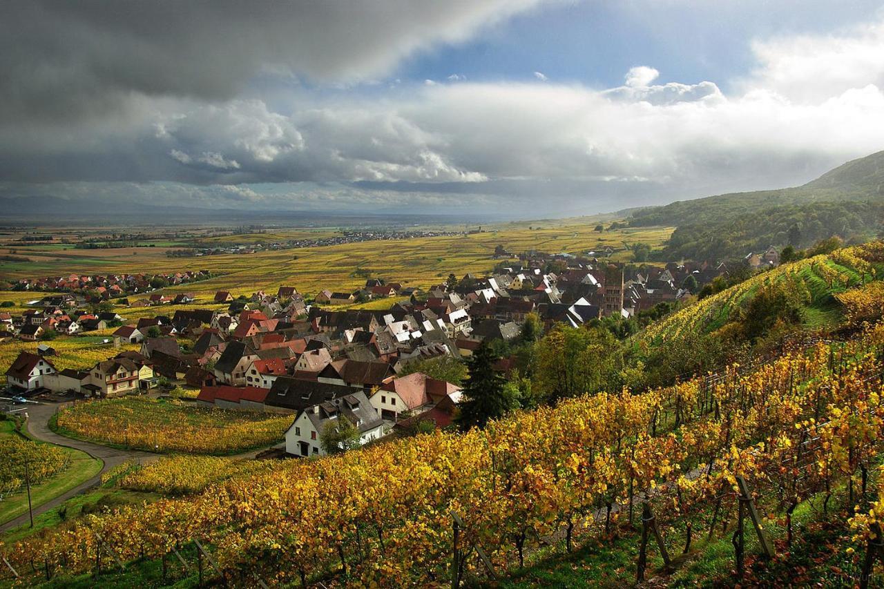 Chez Christian Leilighet Breitenbach-Haut-Rhin Eksteriør bilde