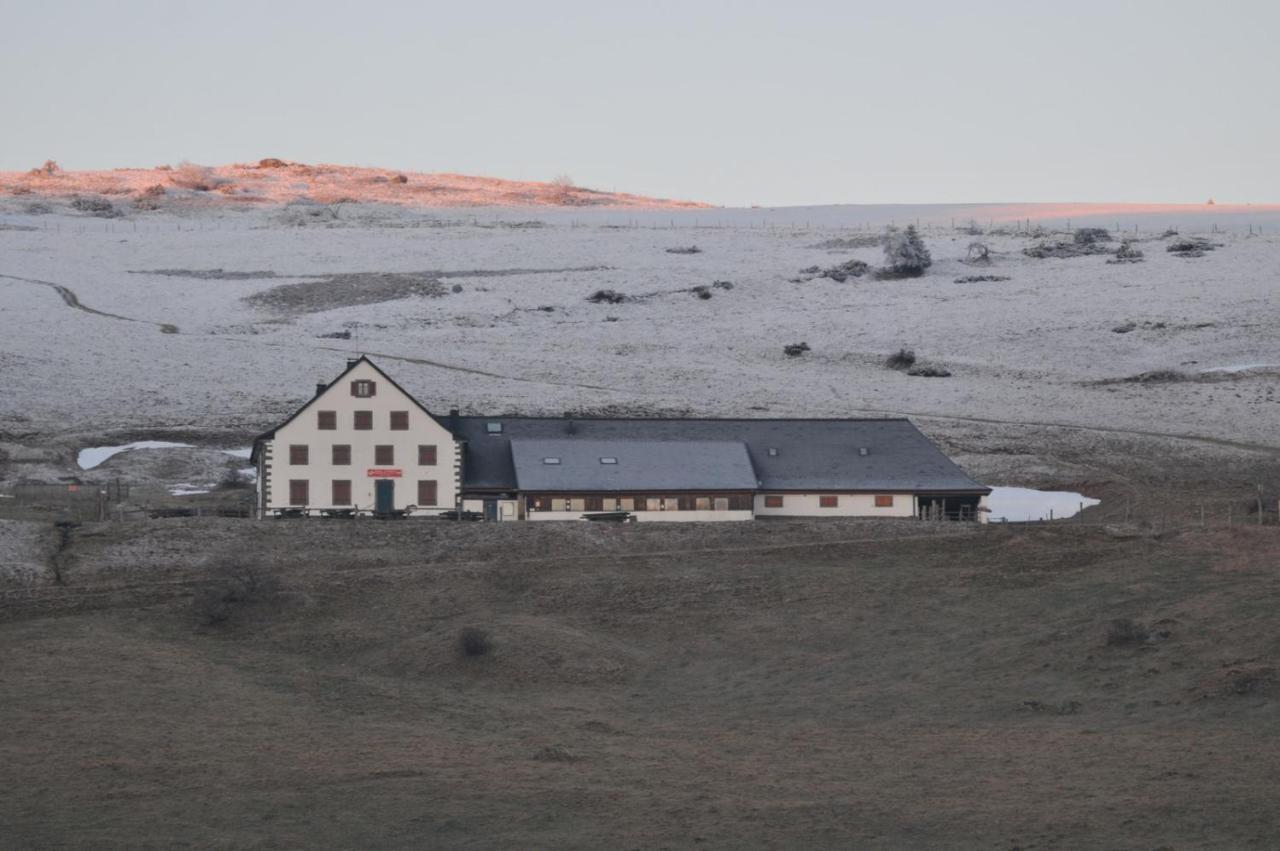 Chez Christian Leilighet Breitenbach-Haut-Rhin Eksteriør bilde